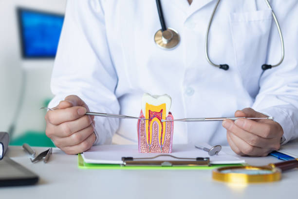 Best Emergency Denture Repair in Hunter, TN
